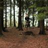 Profilbild von specialized99